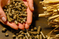 free Pins Green biomass boiler quotes
